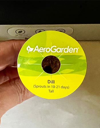 A dill seed pod for the AeroGarden Harvest