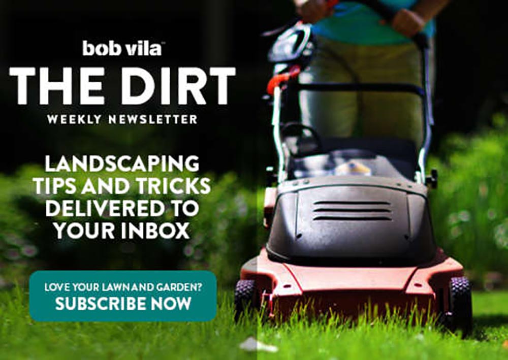 Subscribe to The Dirt newsletter
