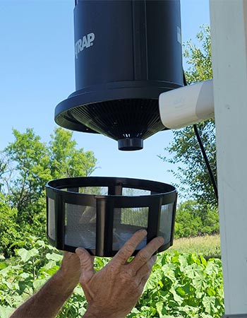 A person reattaching a clean trap basin to the DynaTrap insect trap