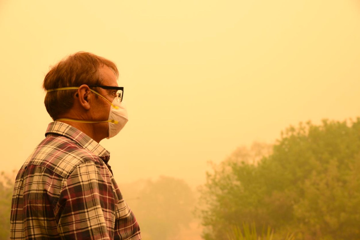 Essentials for Homeowners Dealing with Wildfire Smoke Options