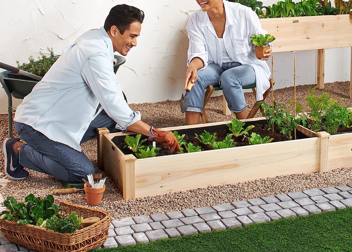 Everything You Need to Start a Raised Bed Garden Option A Raised Bed