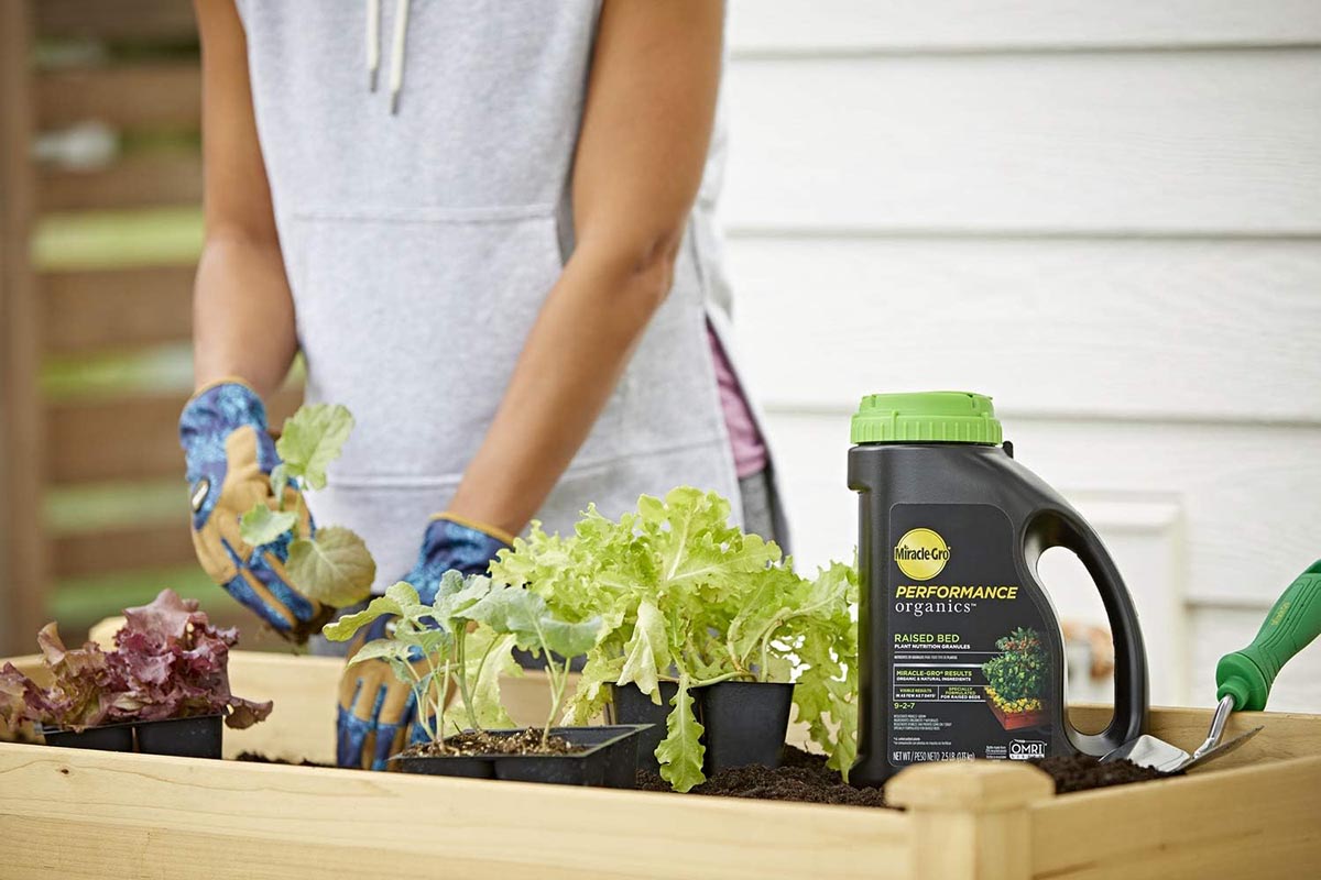 Everything You Need to Start a Raised Bed Garden Option Fertilizer