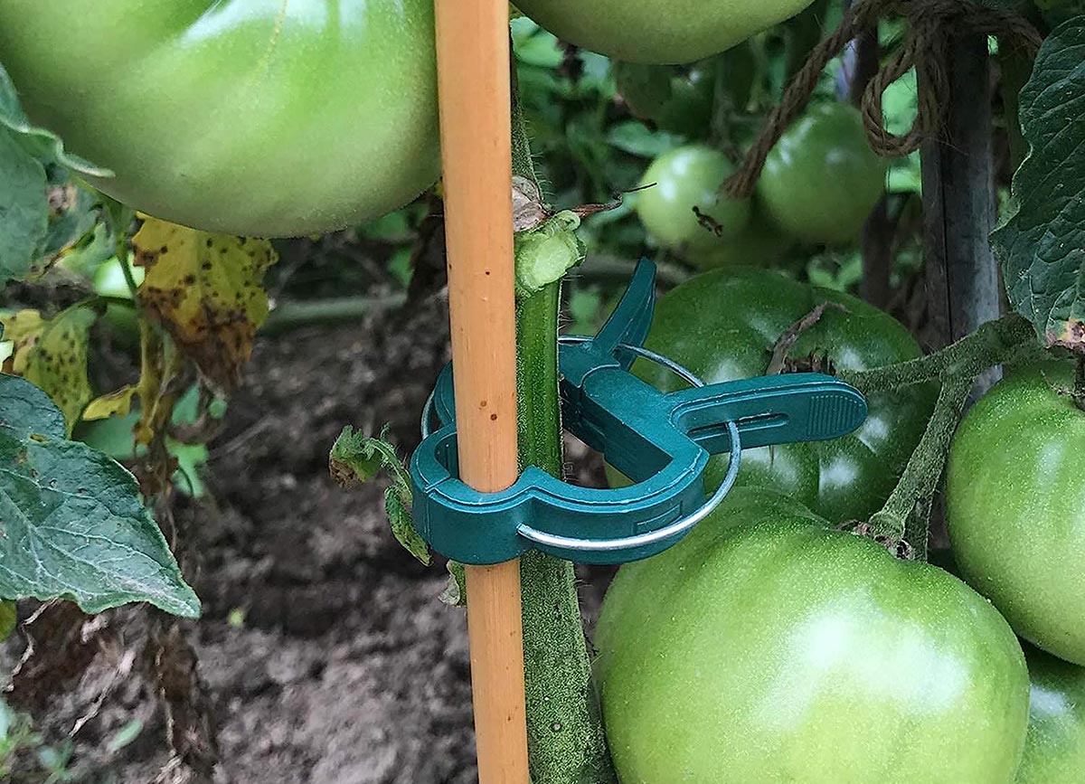 Everything You Need to Start a Raised Bed Garden Option Plant Clips