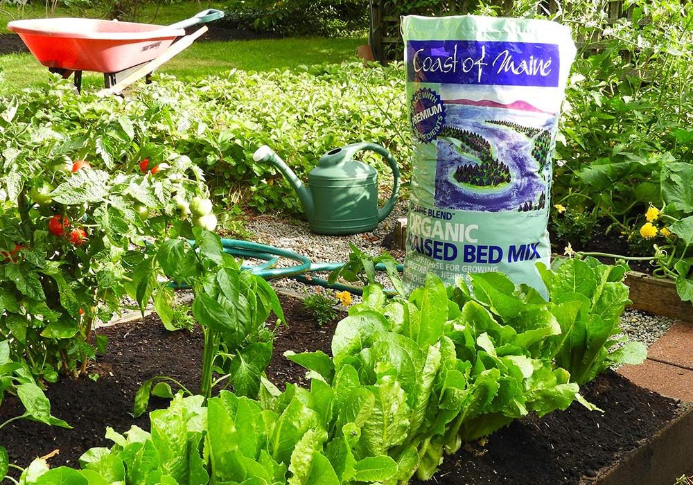 Everything You Need to Start a Raised Bed Garden Option Quality Soil
