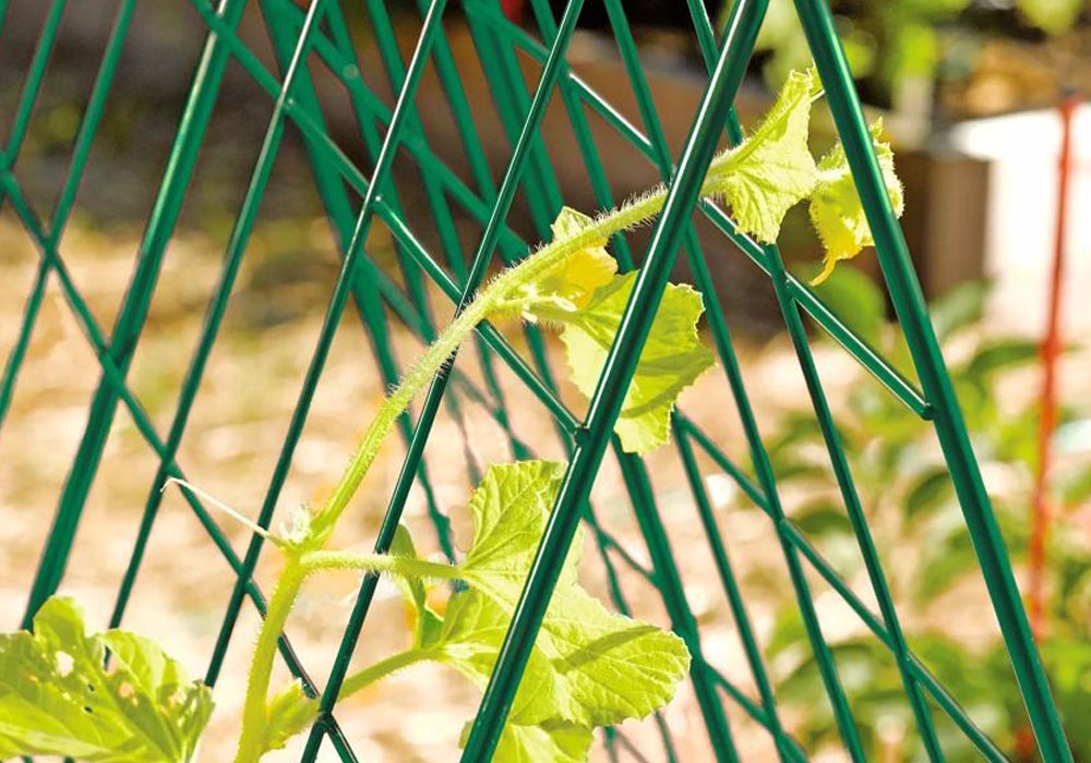 Everything You Need to Start a Raised Bed Garden Option Trellis
