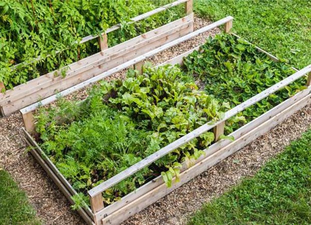 Everything You Need to Start a Raised-Bed Garden, According to a Seasoned Gardener