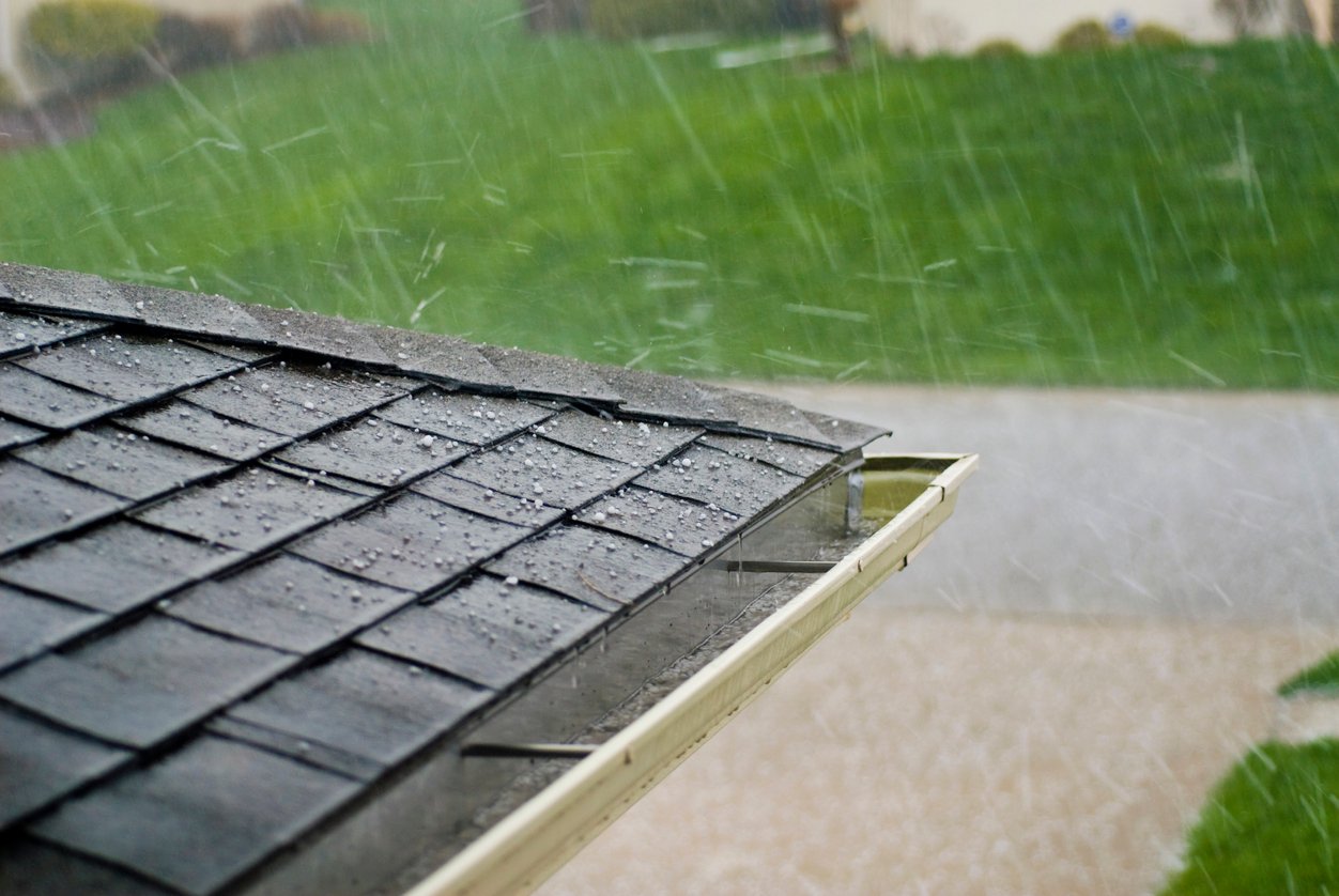Hail Damage vs. Blistering: 4 Crucial Differences Between These Types ...