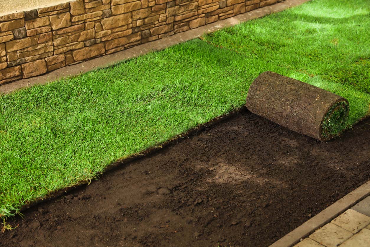 How Much Does Sod Cost to Install? (2024) Bob Vila