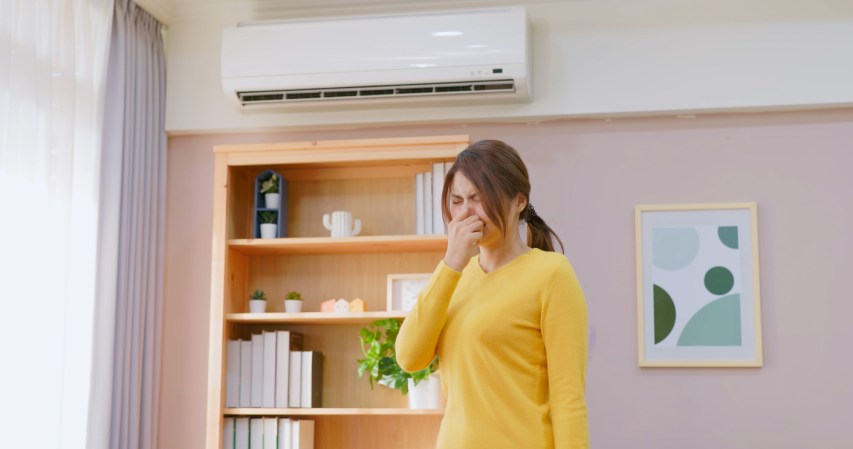 Solved! Here’s Exactly How To Treat Mold in HVAC Systems