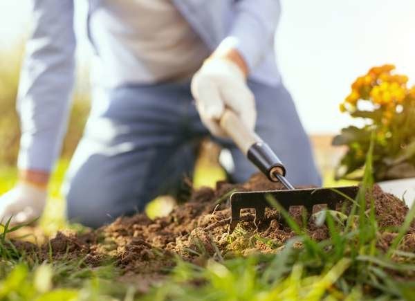 Close up of woman gardening