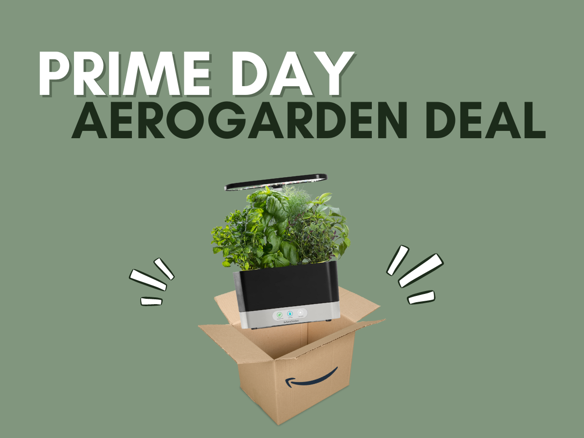 AeroGarden Harvest Is 70% Off in Amazon Prime Day Sale