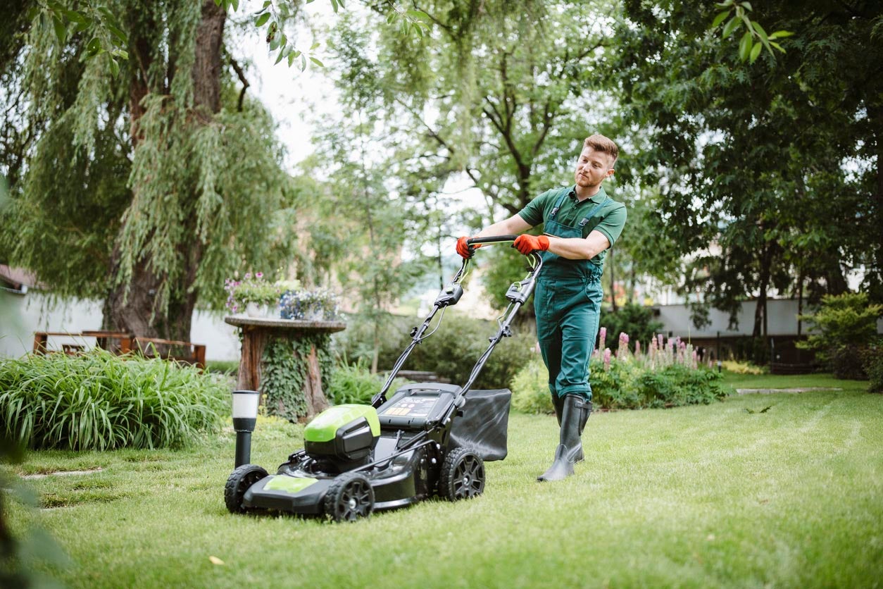 The Best Insurance for Lawn Care Businesses Options