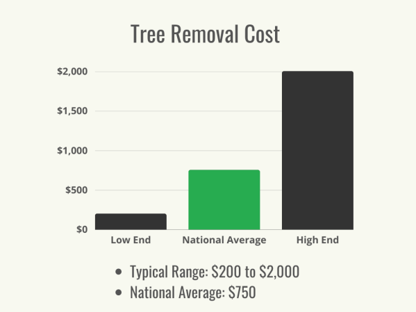 How Much Does It Cost to Remove a Tree?