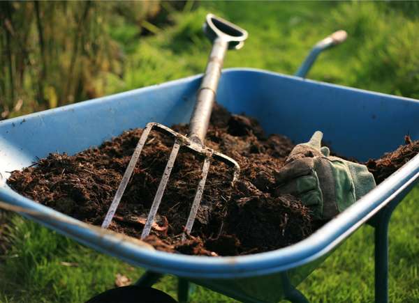 A blue wheelbarrow with compost and pitchfork.