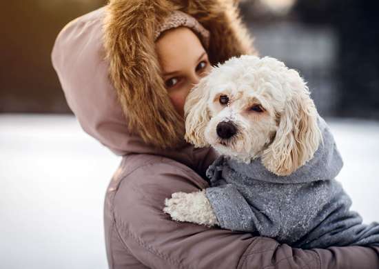 Woman holding small white dog both are wearing winter coats
