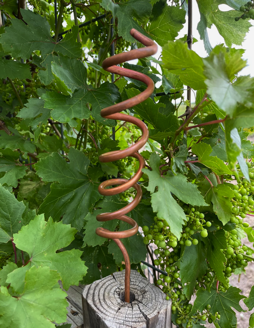 shot of thick copper coil wire shaped in tall spiral attached to a wooden block in a garden in front of plant with green leaves