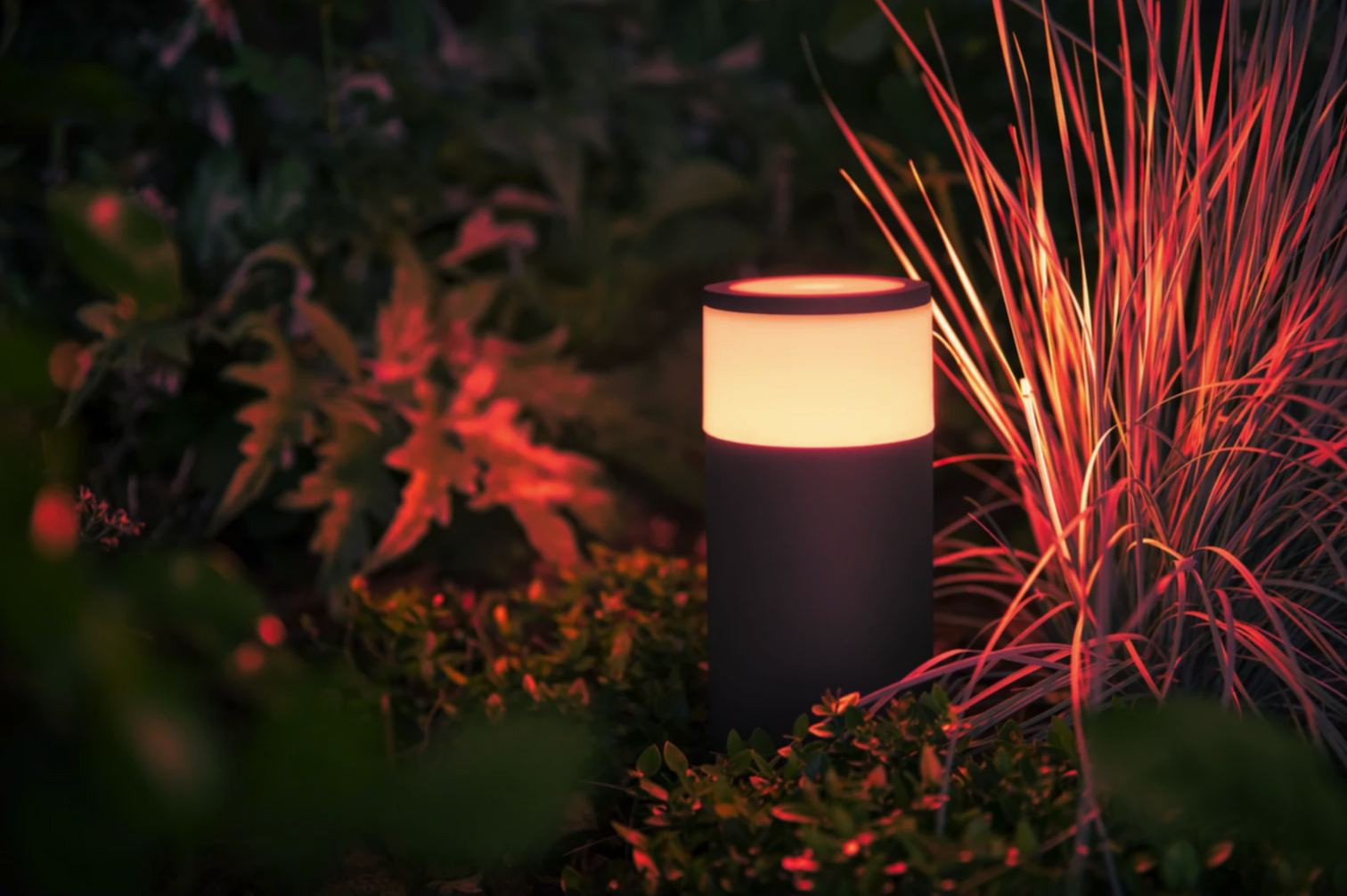 close up of small cylindrical light feature casting red light on plants in garden