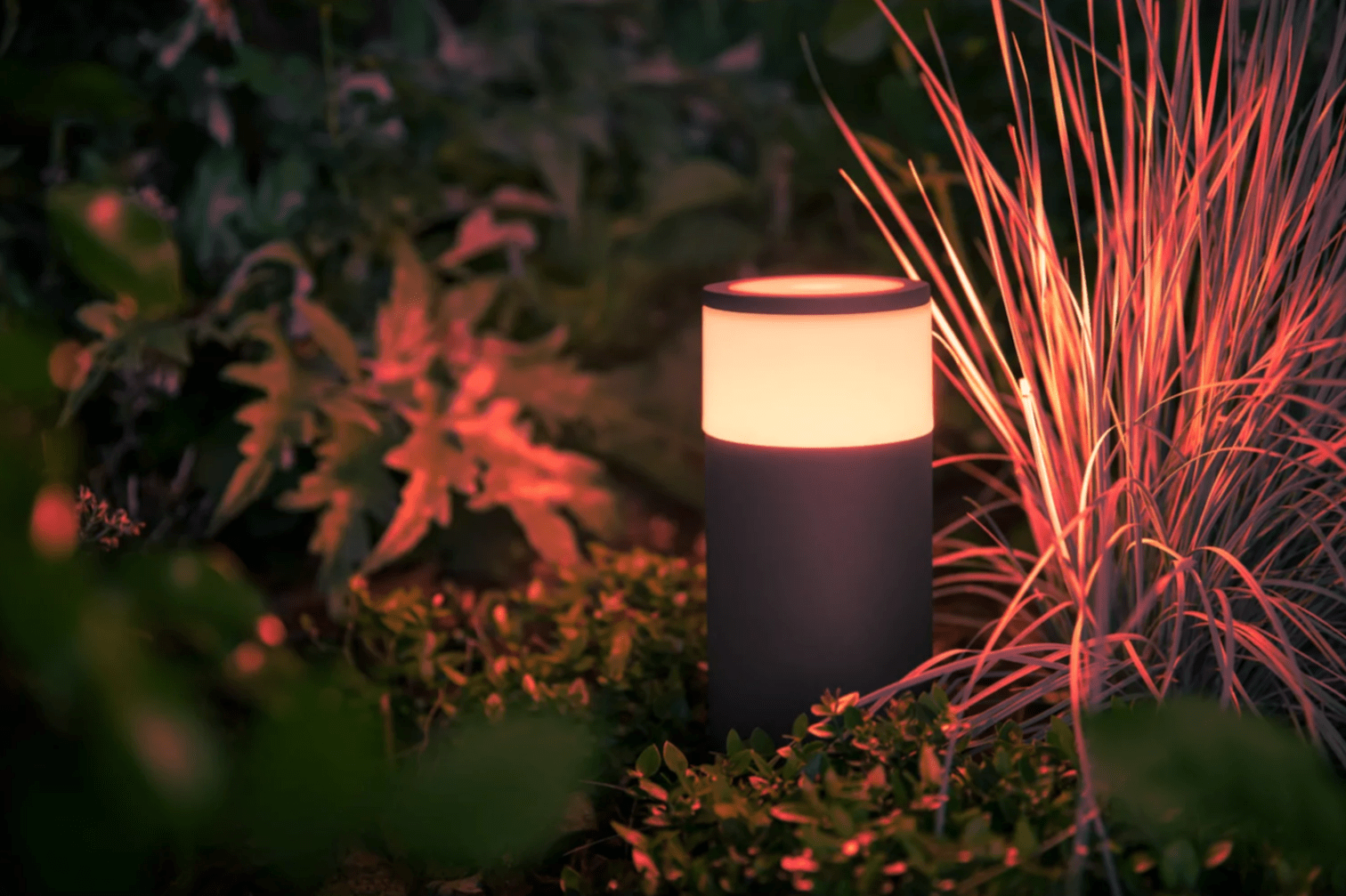 close up of small cylindrical light feature casting red light on plants in garden