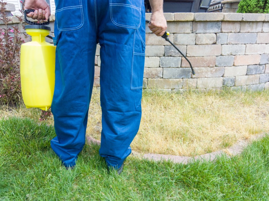 Does Liquid Lawn Aerator Actually Work? Bob Vila