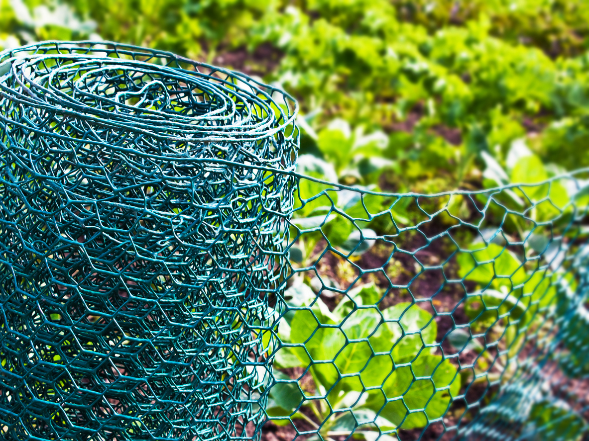 Vegetables garden and wire fence close up background
