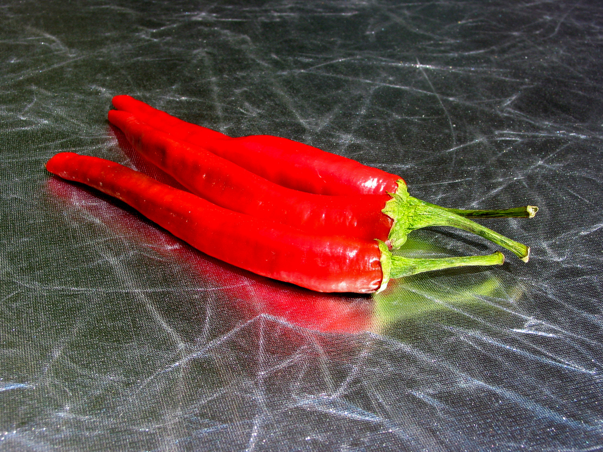 Fresh spicy red chillies