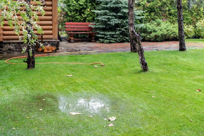 12 Ways to Fix a Soggy Yard