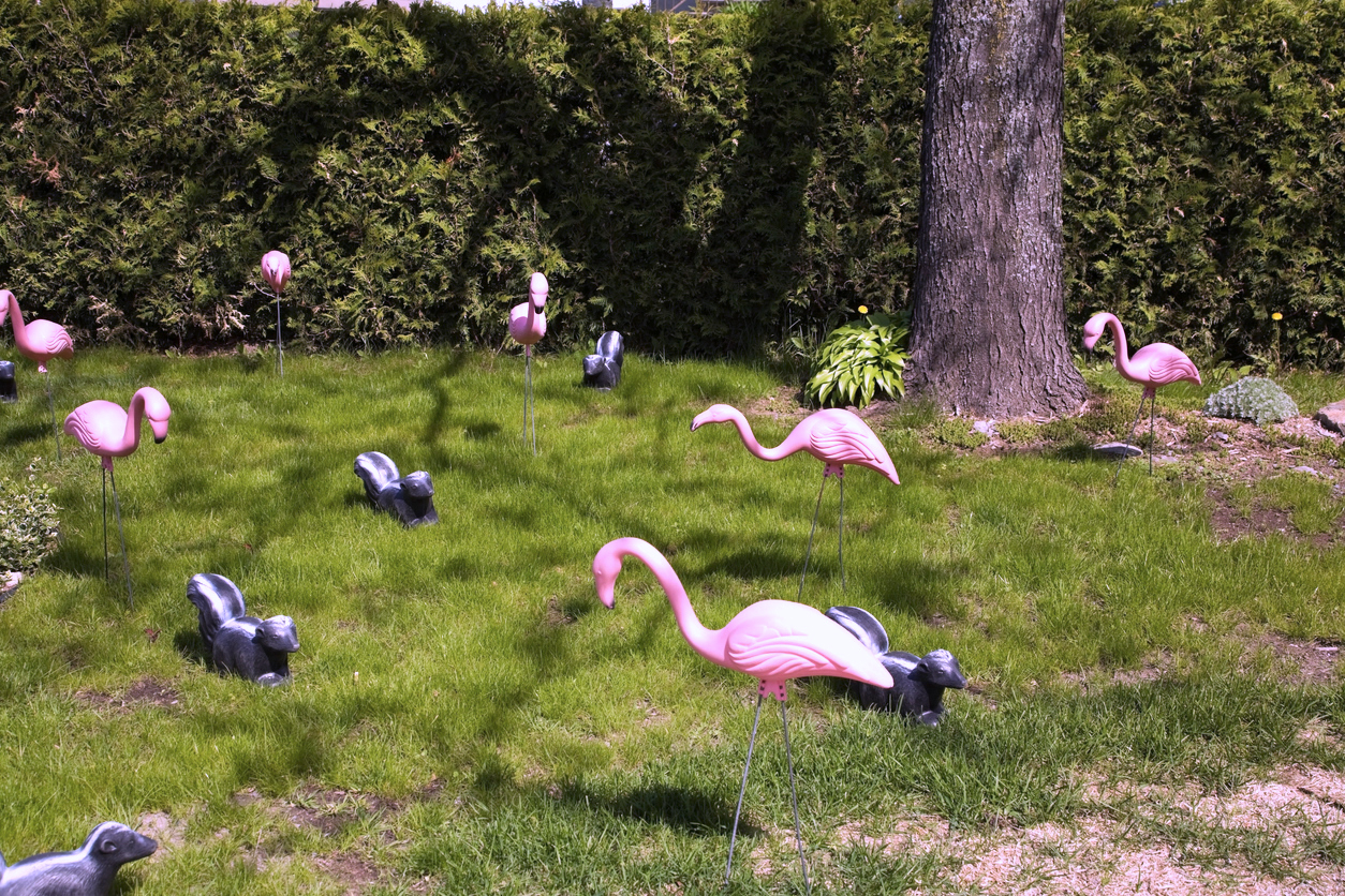 plastic-pink-flamingoes-and-plastic-skunks-in-a-grassy-lawn