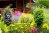 front yard with brightly colored wildflowers in the foreground and a blurry cottage with front porch in dark wood in the background