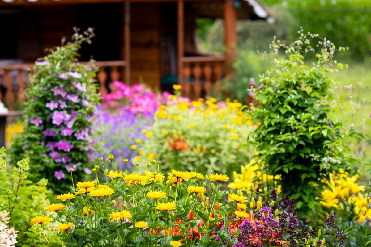 front yard with brightly colored wildflowers in the foreground and a blurry cottage with front porch in dark wood in the background