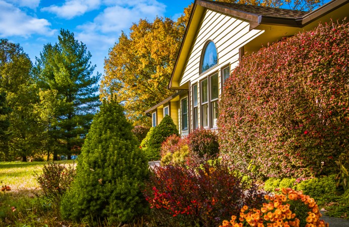 11 Red Shrubs That Add Interest to Home Landscapes