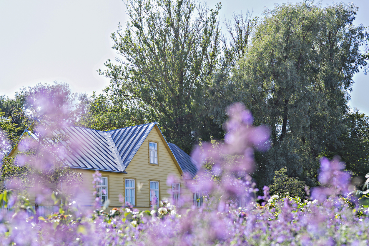 house-with-tan-siding-and-backed-by-trees-is-surrounded-by-purple-wildflowers