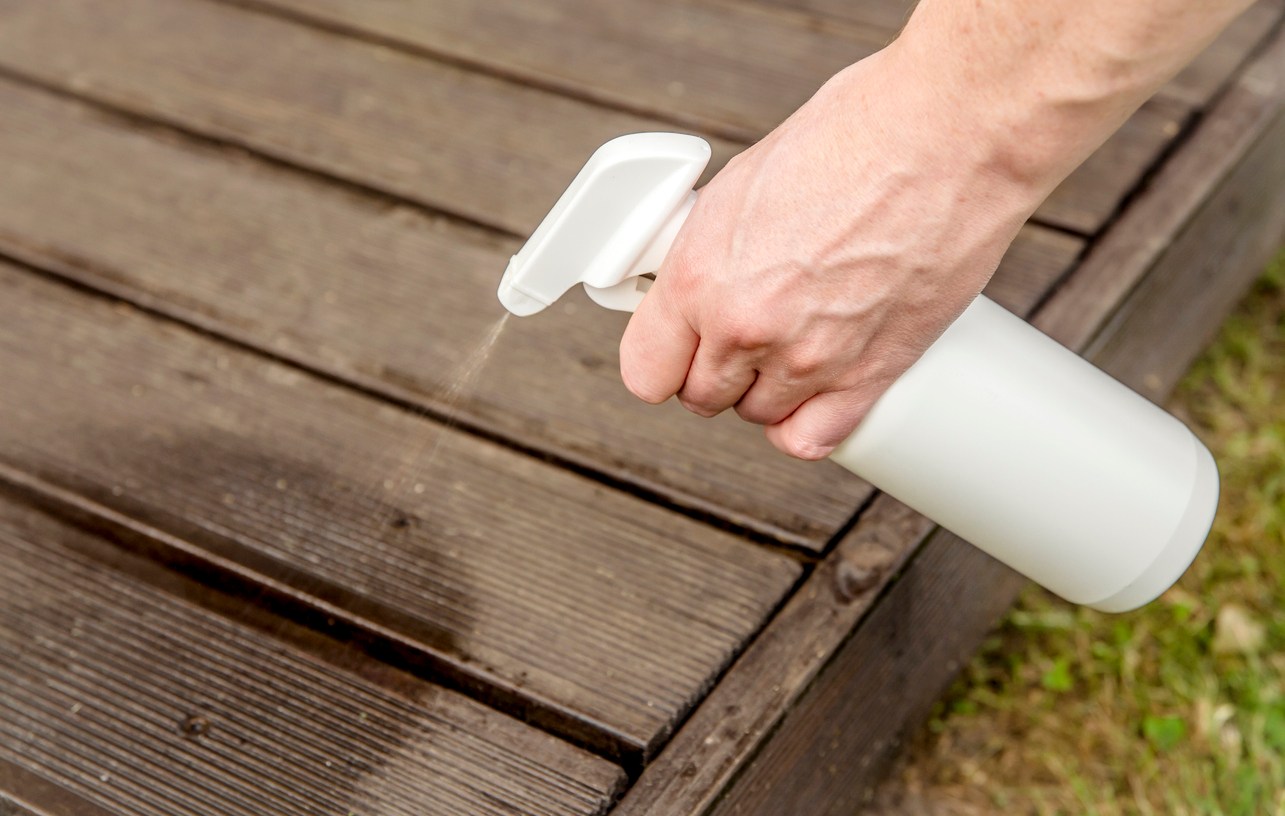 This Spicy Condiment Can Keep Yellowjackets Away From Your Home Bob Vila