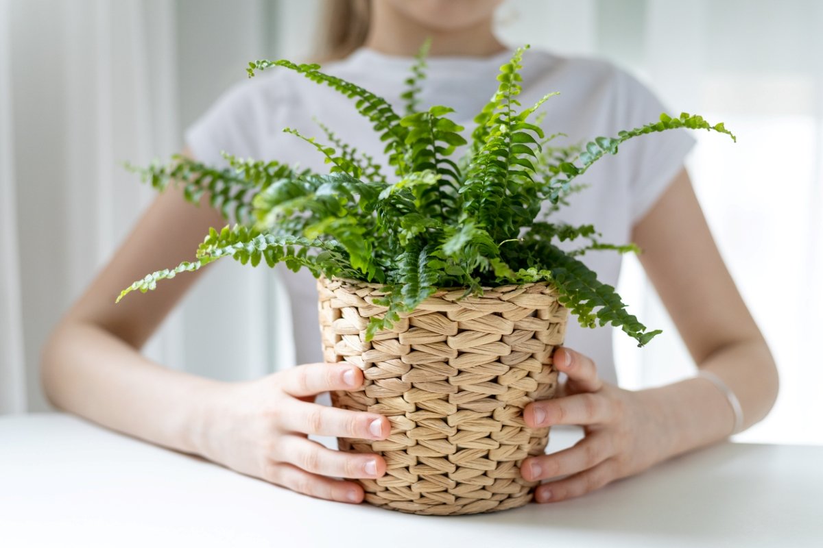 A woman holding a potted fern in a wicker pot.