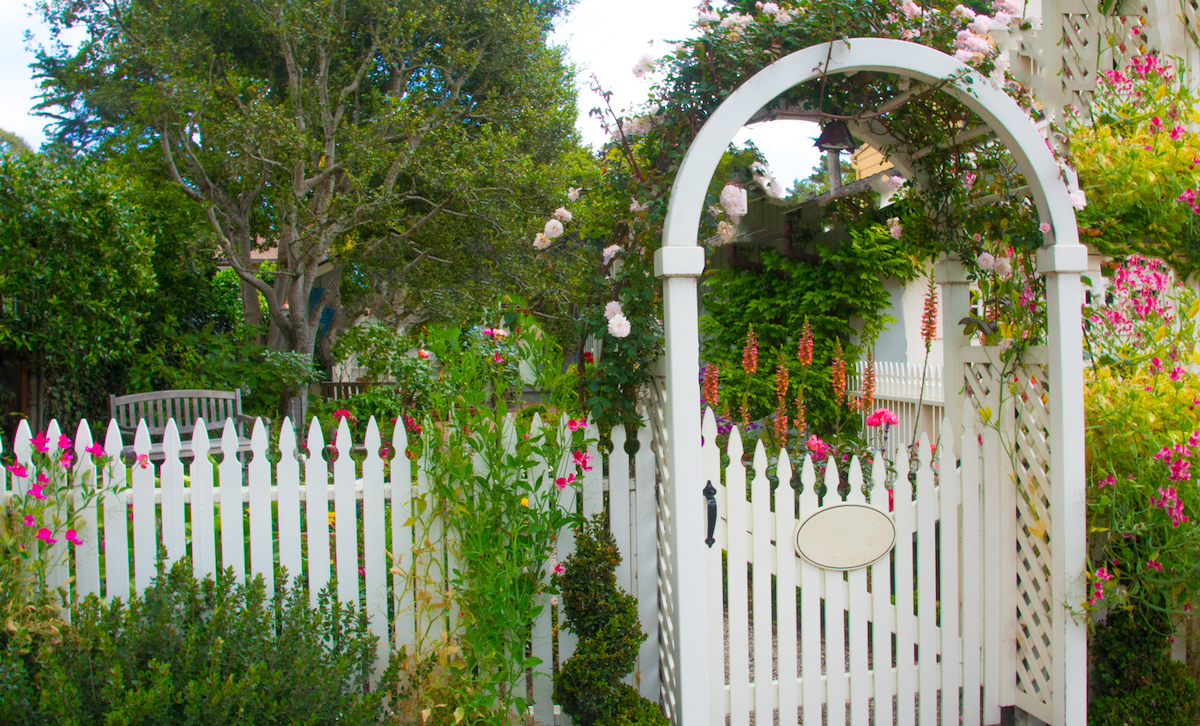 charming picket fence with archway holding climbing flowers