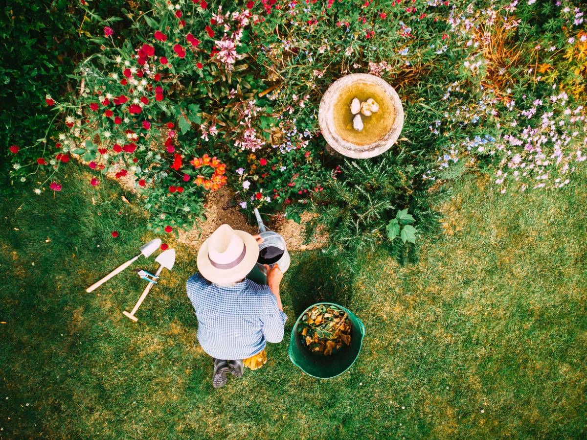 Aerial view of person gardening