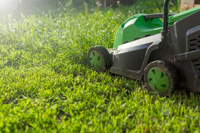 No Mow May: 8 Reasons to Let Your Lawn Grow for a Month
