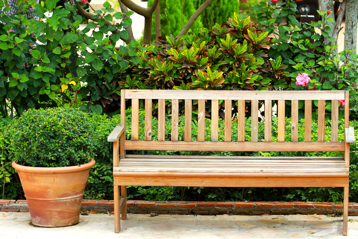garden bench with shrubs and potted plants
