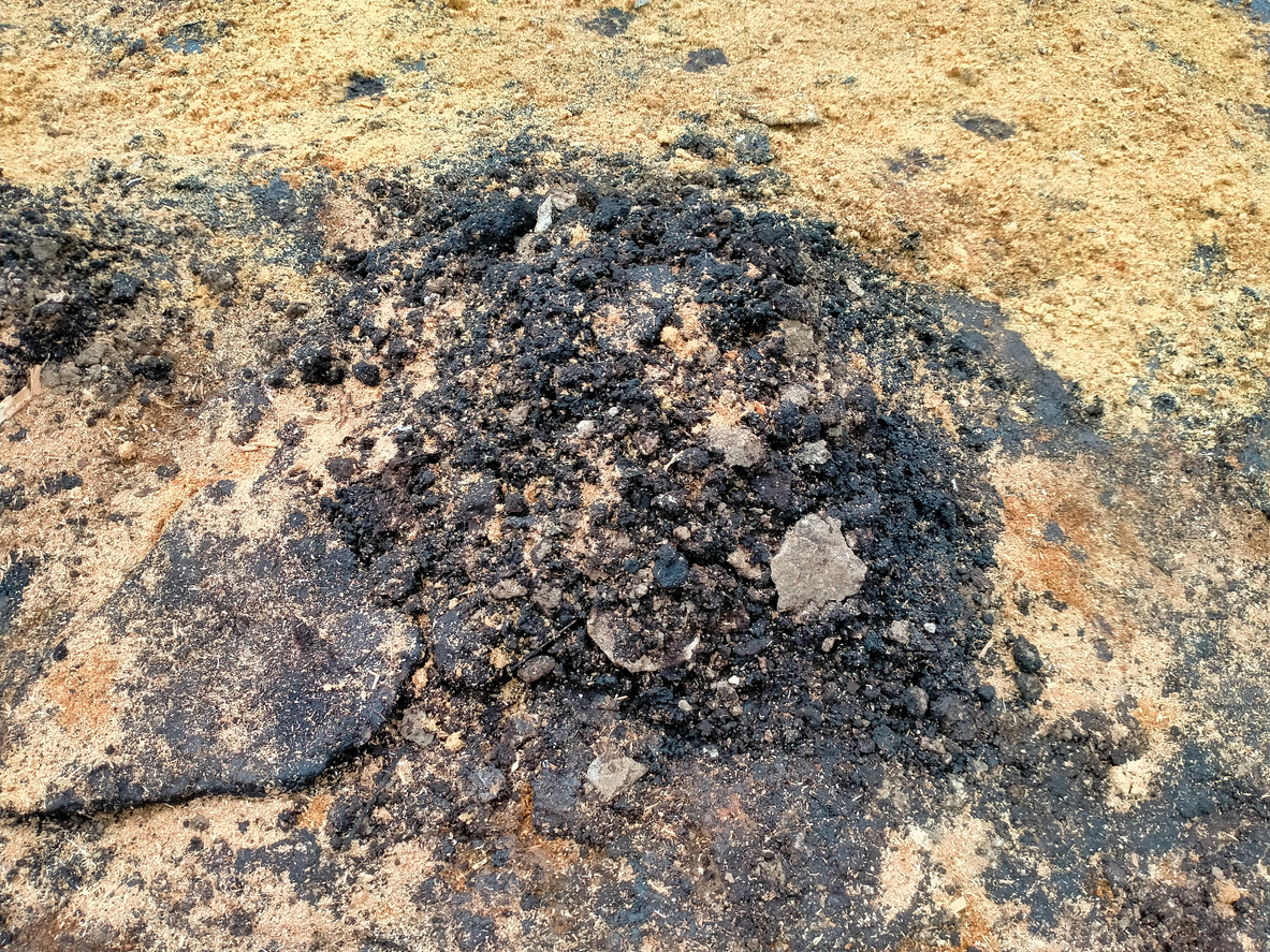 Oil spill on soil covered by saw dust as absorbent
