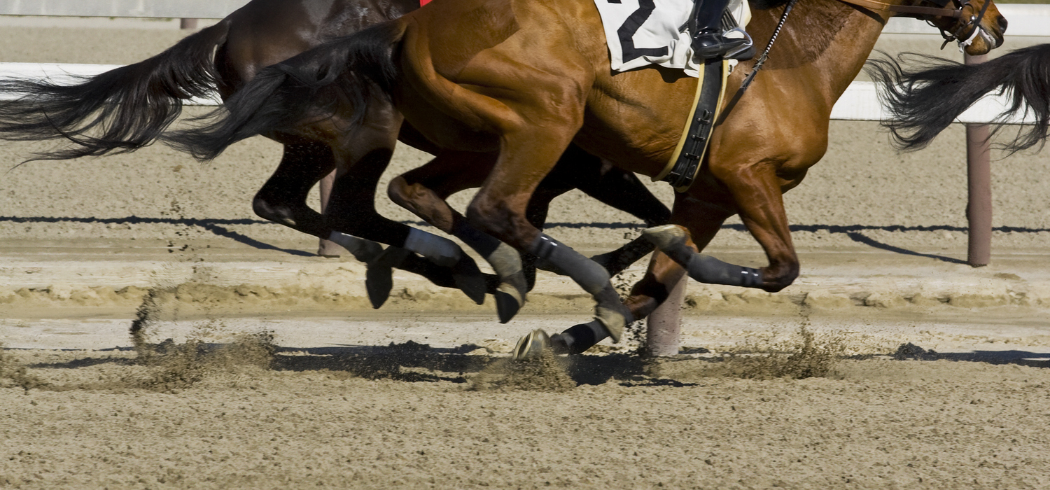 close up on bottom half of horse racing on race track
