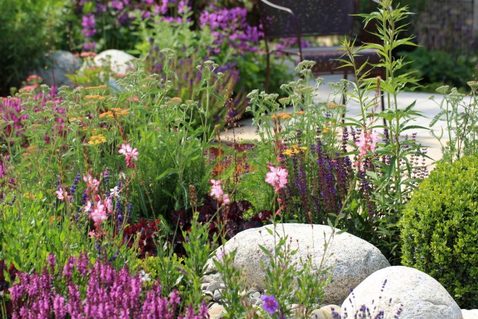 20 Plants to Use as Lawn and Garden Borders