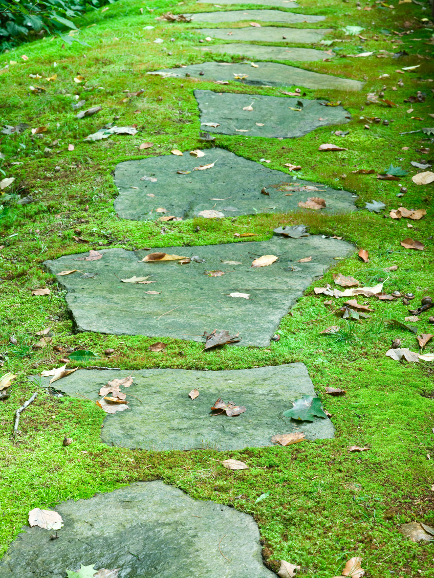 large stone slabs of footpath in bright green moss lawn