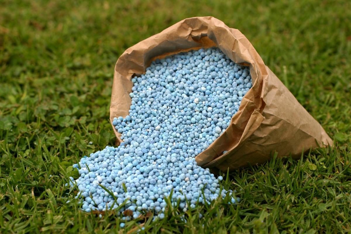 Blue fertilizer out of brown bag