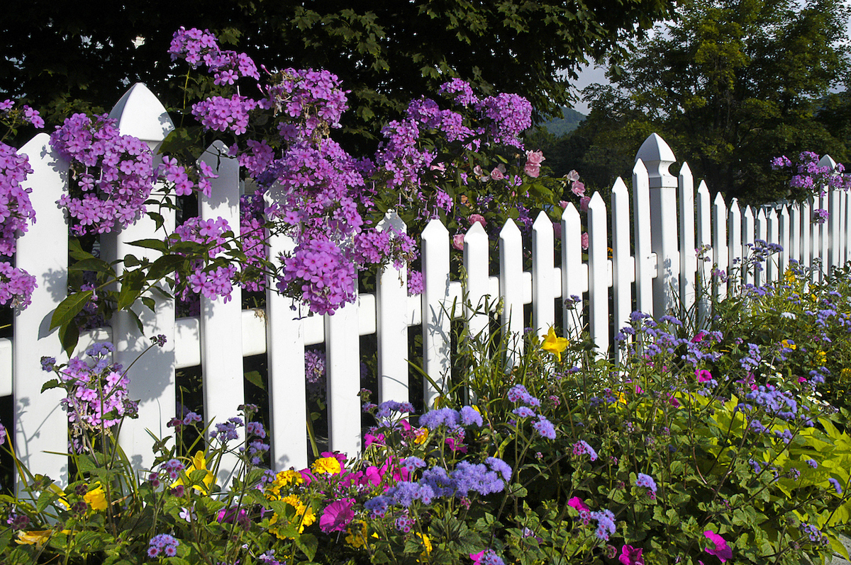 pointy white picket fence with flowers