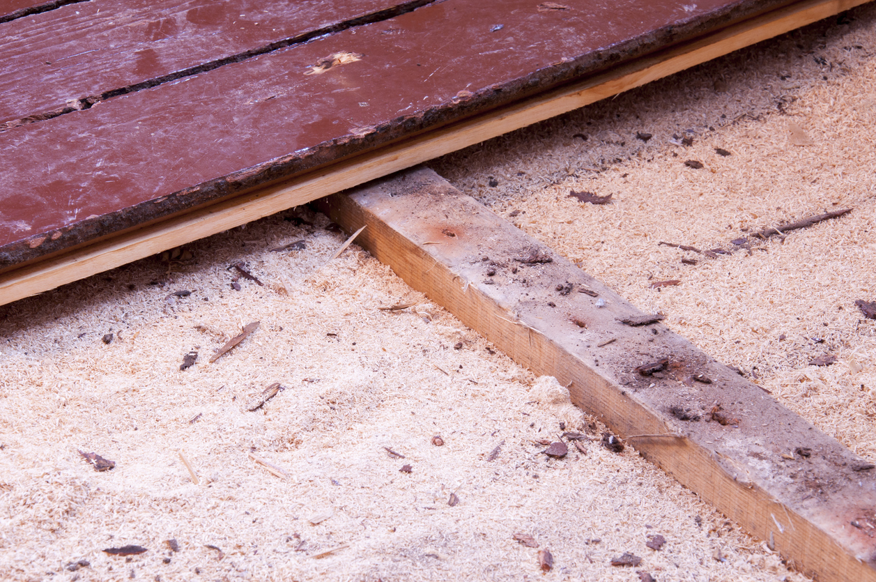 Sawdust insulation under floor boards show some depression (sagging) over time.