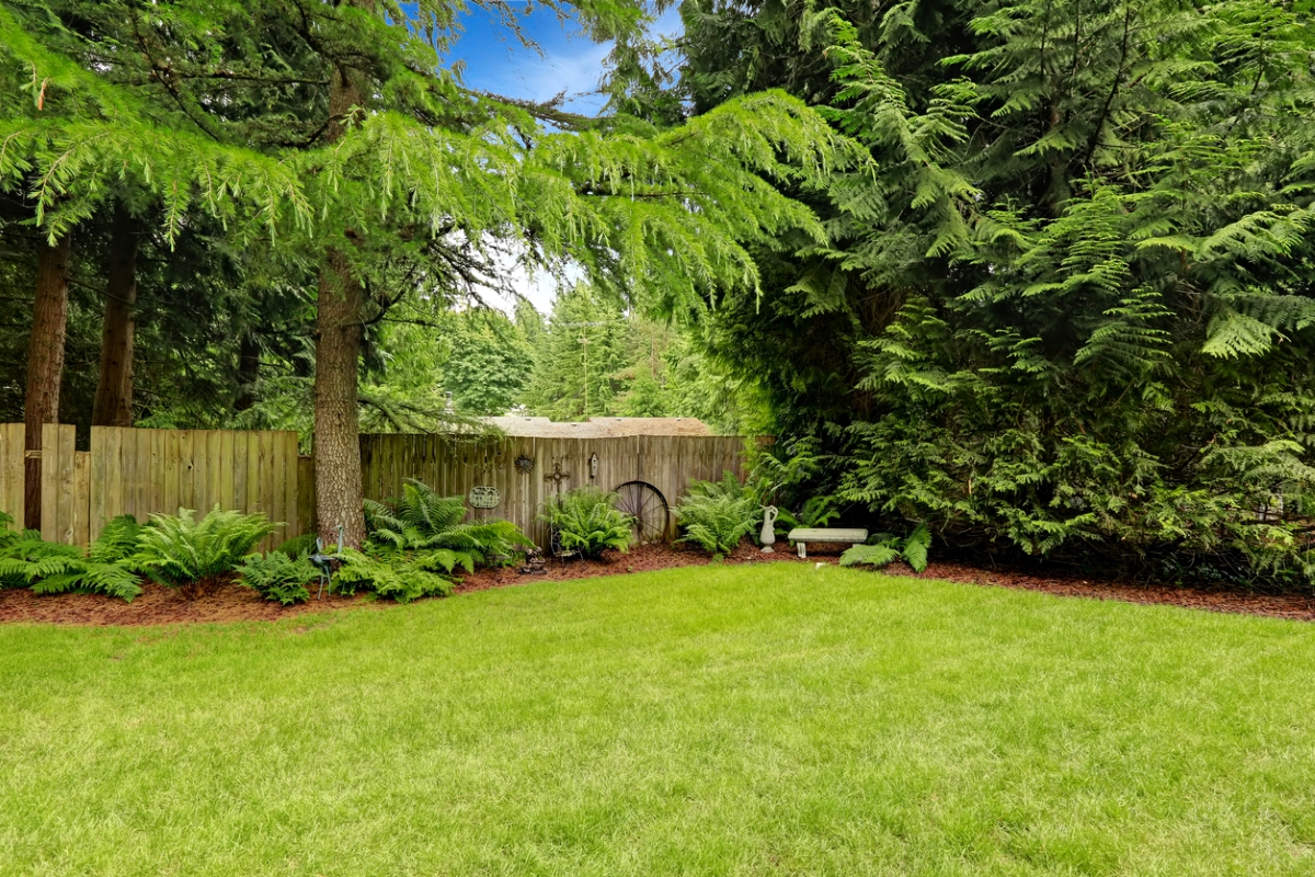 Green backyard with wooden fence
