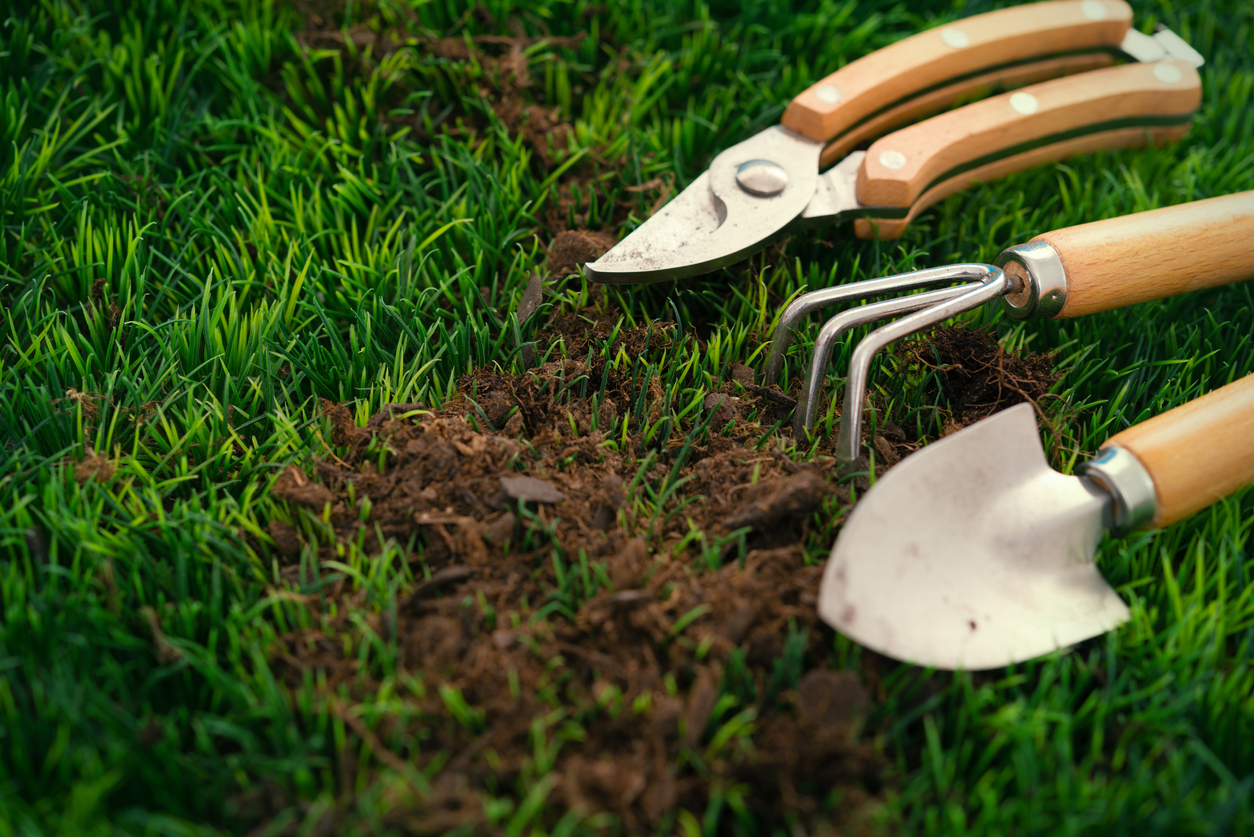 close view of trowel and other small garden tools on grass with dirt