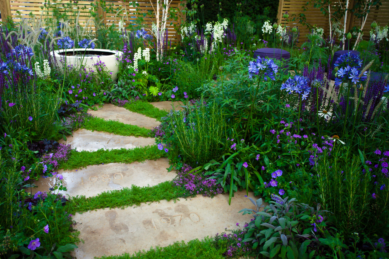 Garden path lined with ground cover