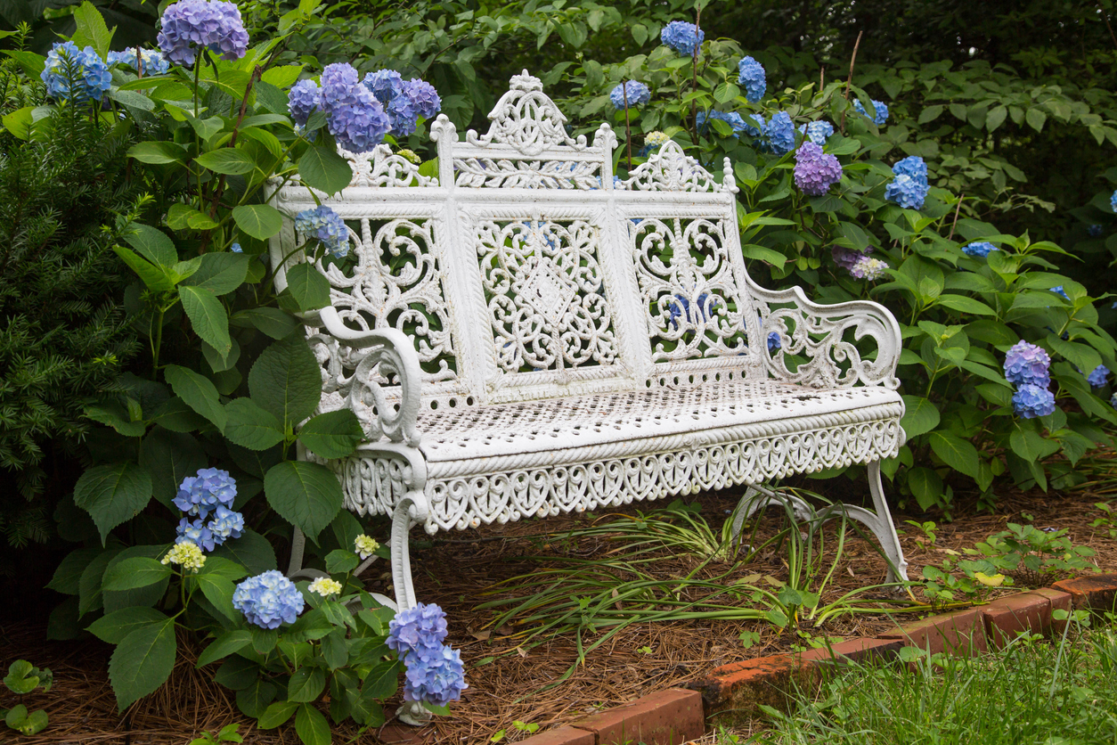 A white Victorian ironwork bench surrounded by blue and purple hydrangeas