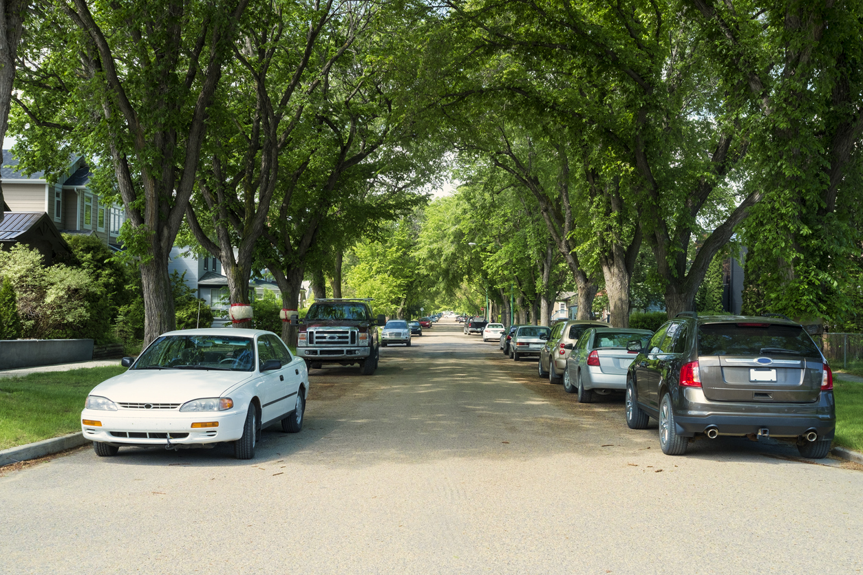 view looking down residential street with cars parked under shady trees