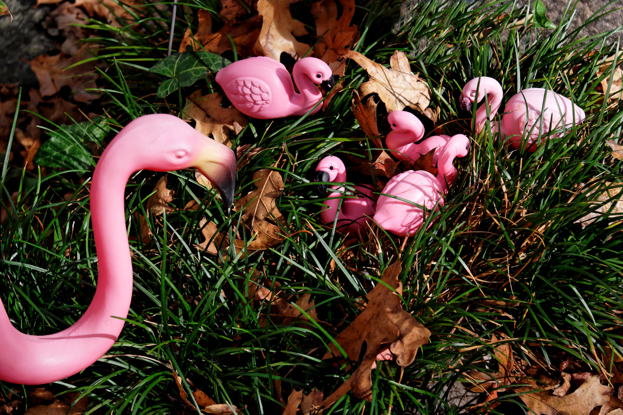 plastic-flamingo-mother-looks-down-on-her-plastic-flamingo-babies-in-the-grass